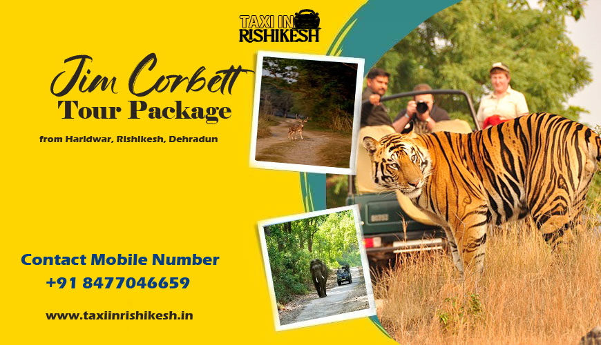 jim-corbett-package